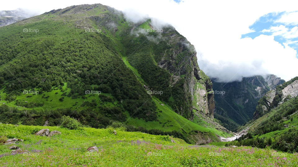 Valley of Flowers