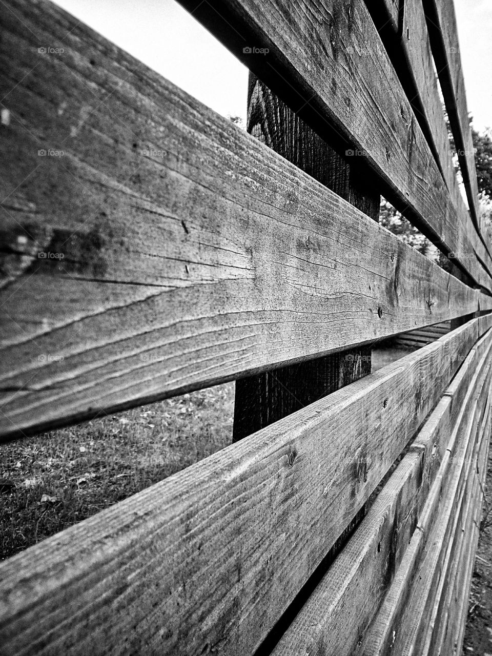 "The most colorful thing in the world is black and white, it contains all colors and at the same time excludes all."
~ Vikrmn, 10 Alone