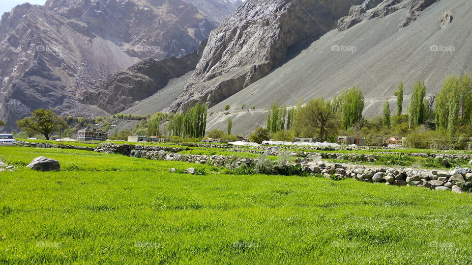 Green grass and hills, a beautiful scene of a village in Leh Laddakh called Bongdang.