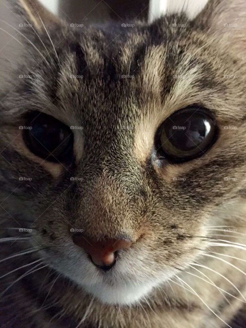 Up close and personal