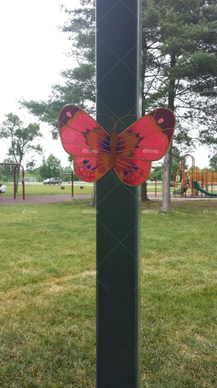 Butterfly decoration. Butterfly decoration for outdoor child's birthday party

