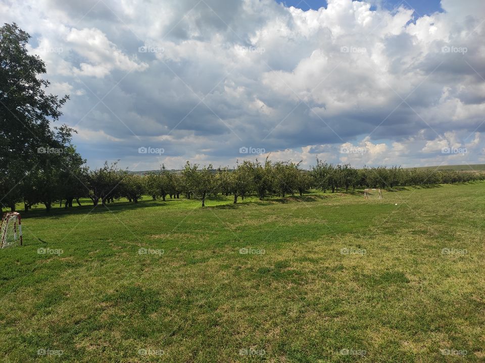 Beska Novi Sad summertime scenery enjoy Serbia