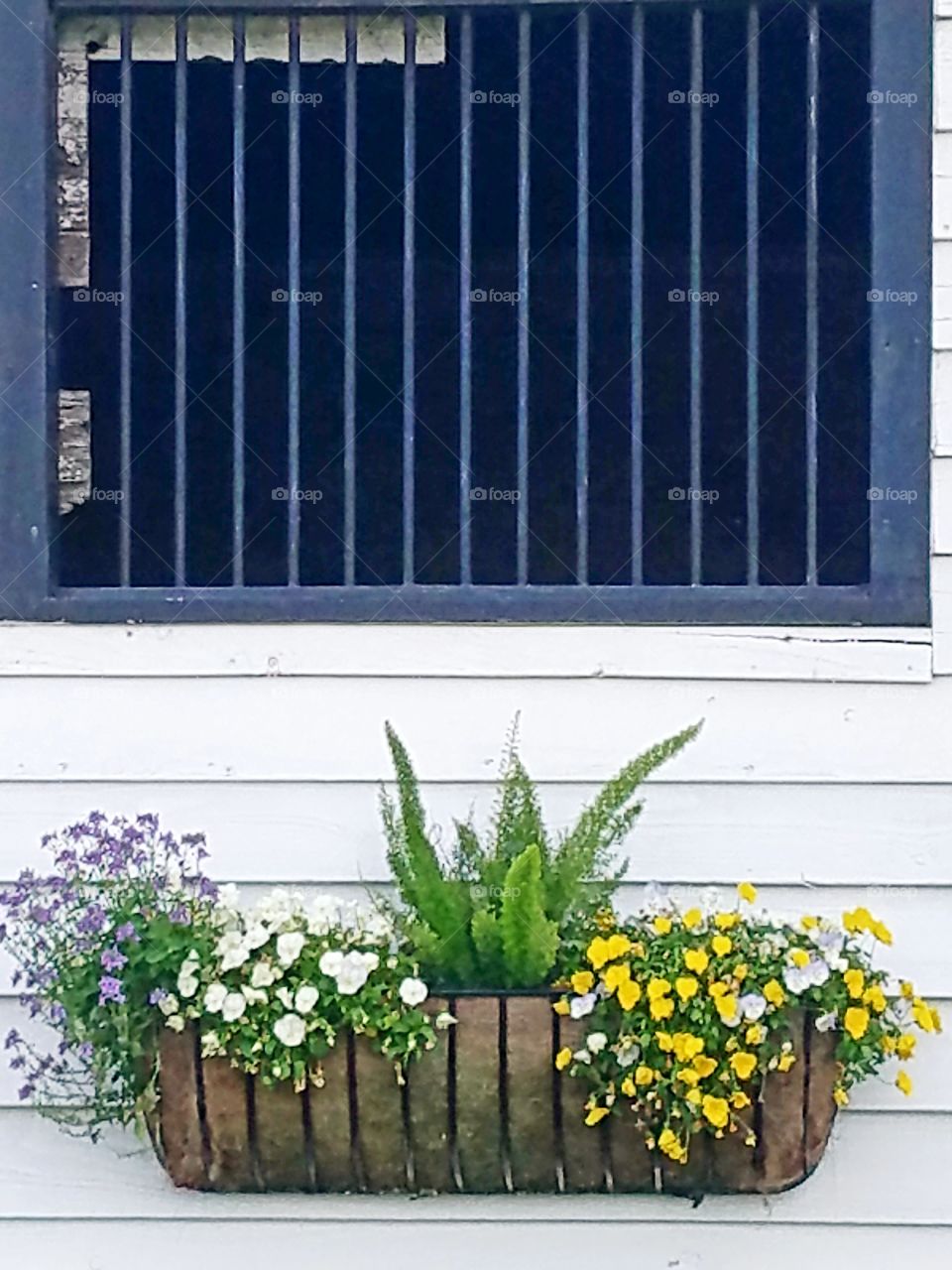 potted plants