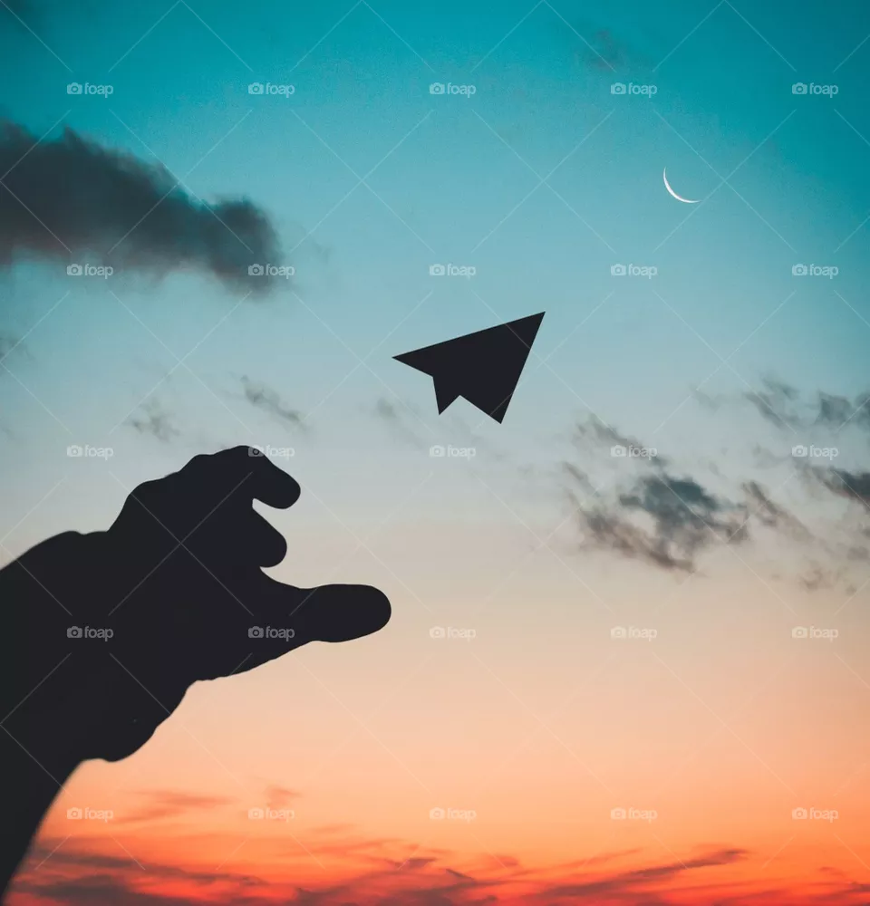 Fly