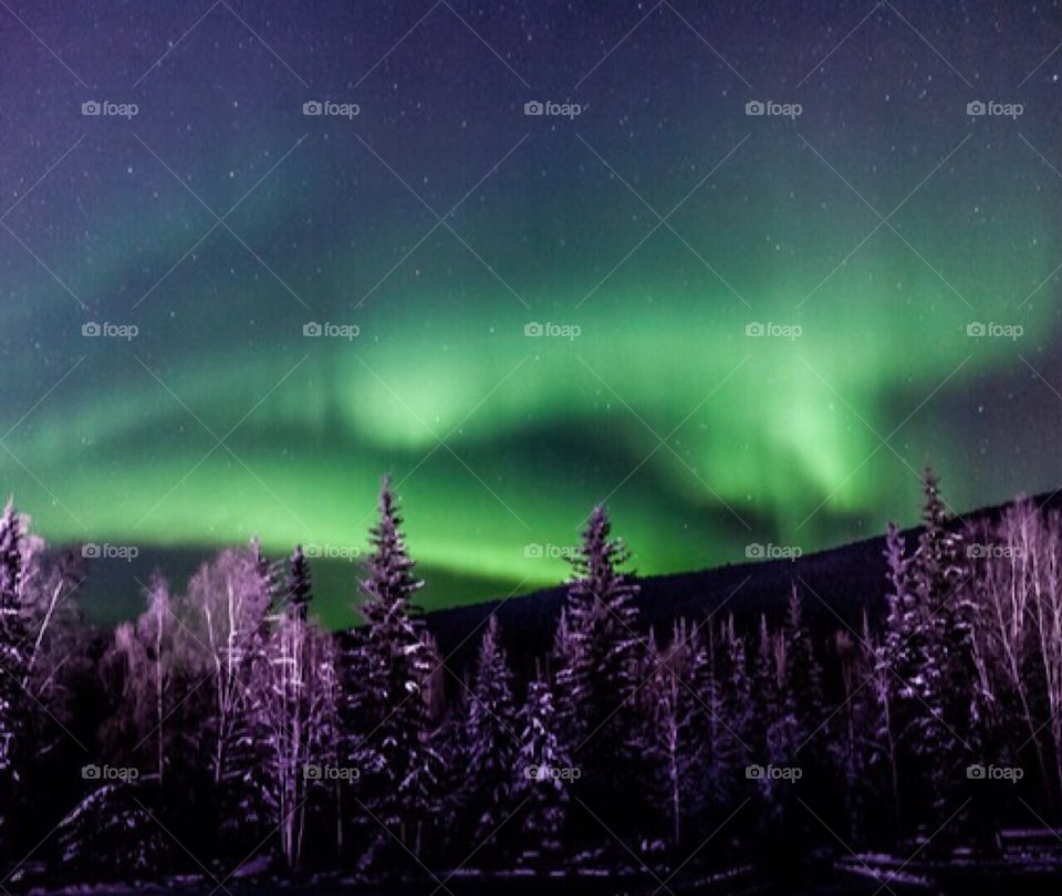 Northern lights on a cold night