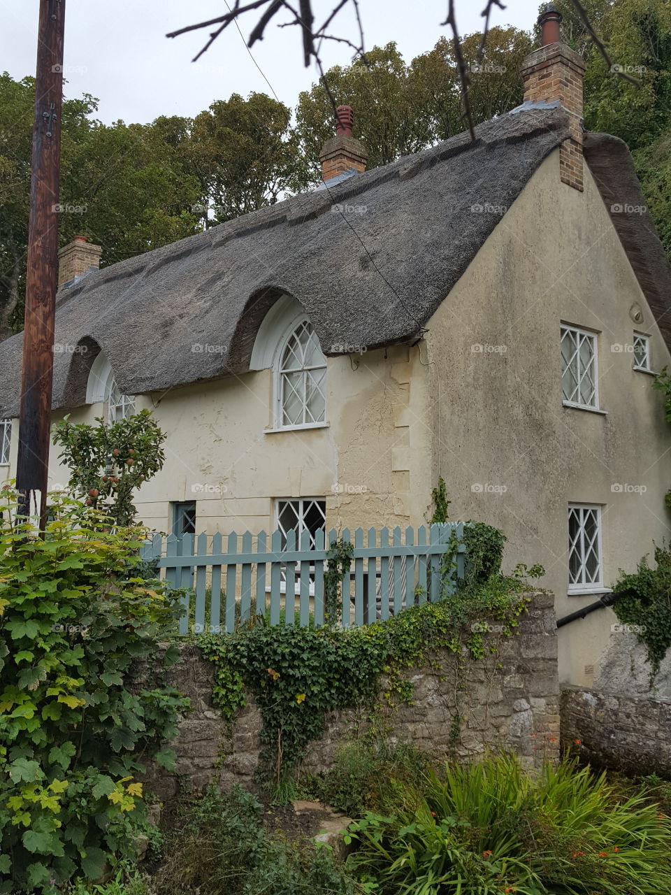 thatched cottage