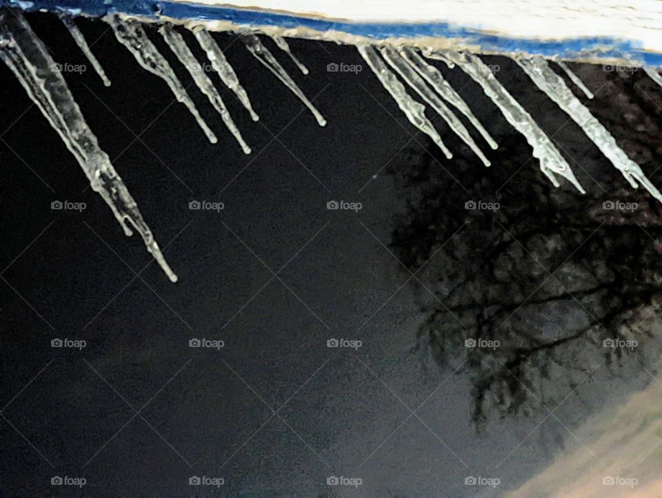 Spring icicles