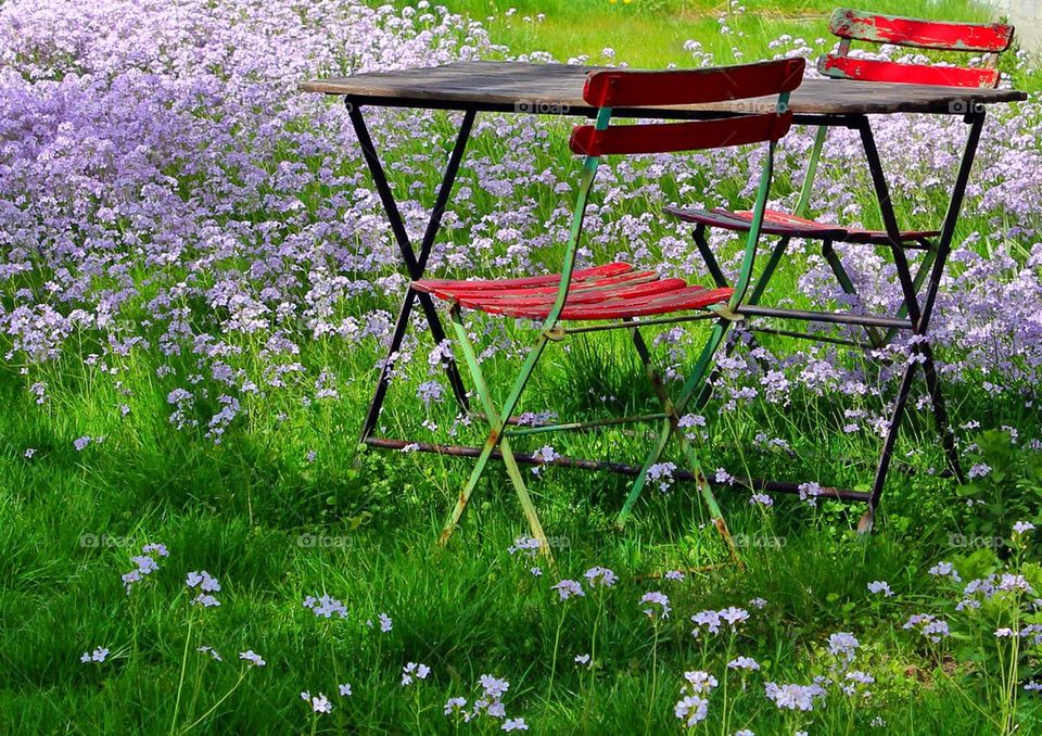 Outdoor furniture on green grass