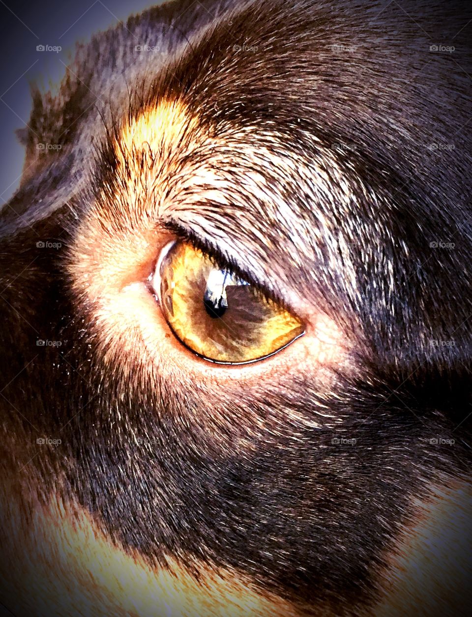 Close up eyes magical iris 