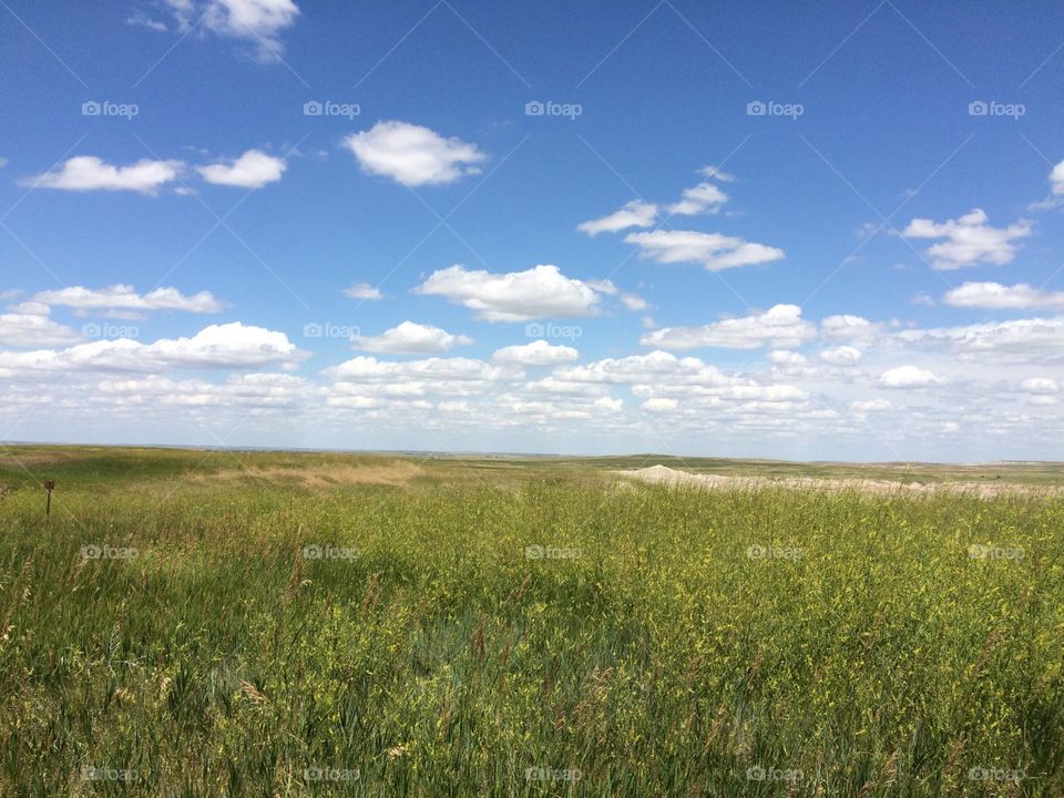 Landscape of wide open spaces blue sky, grasslands 