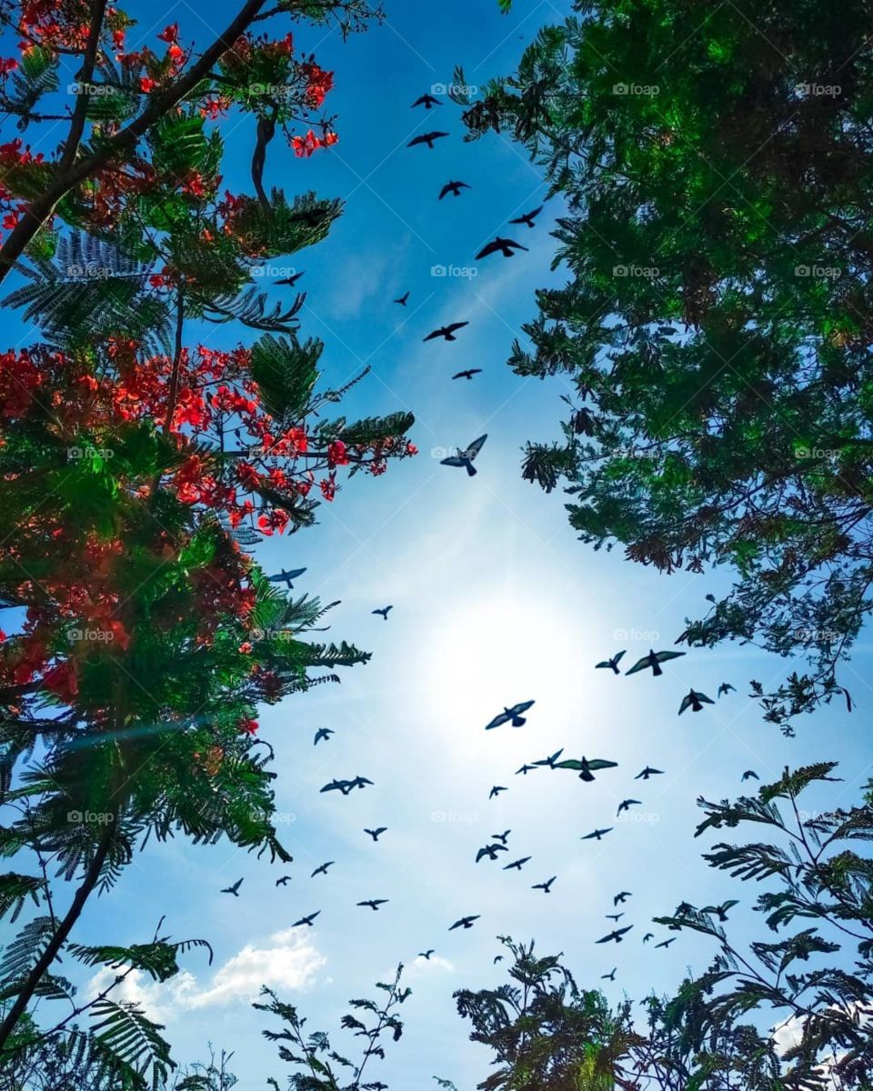 fall on love with movements.