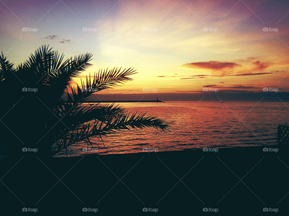 palm tree, lighthouse, sea and sunset
