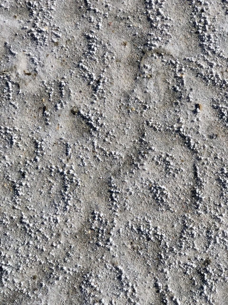 Crystallized salt / Texture / 🇫🇷