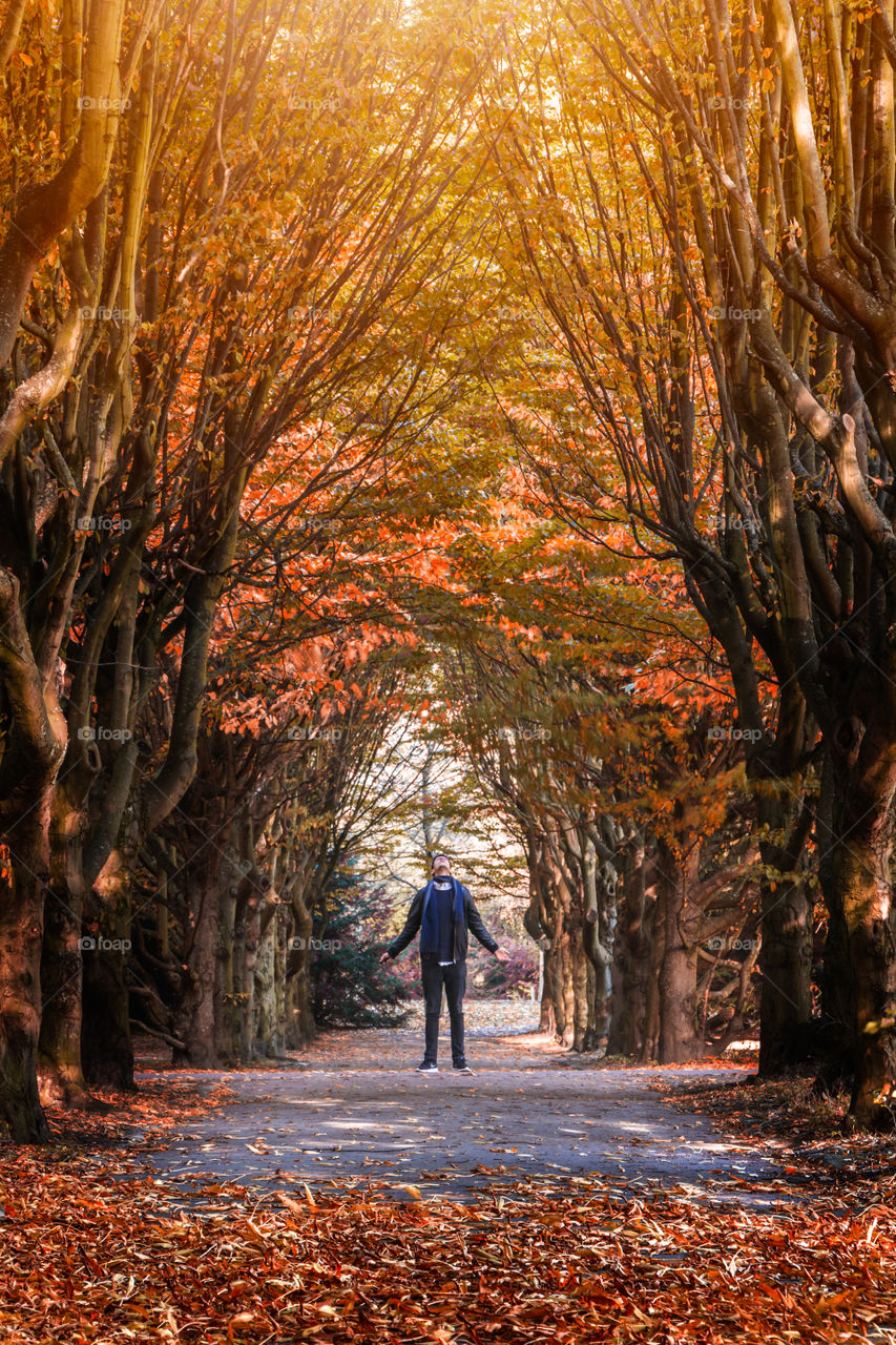 Man standing under the autumn tree