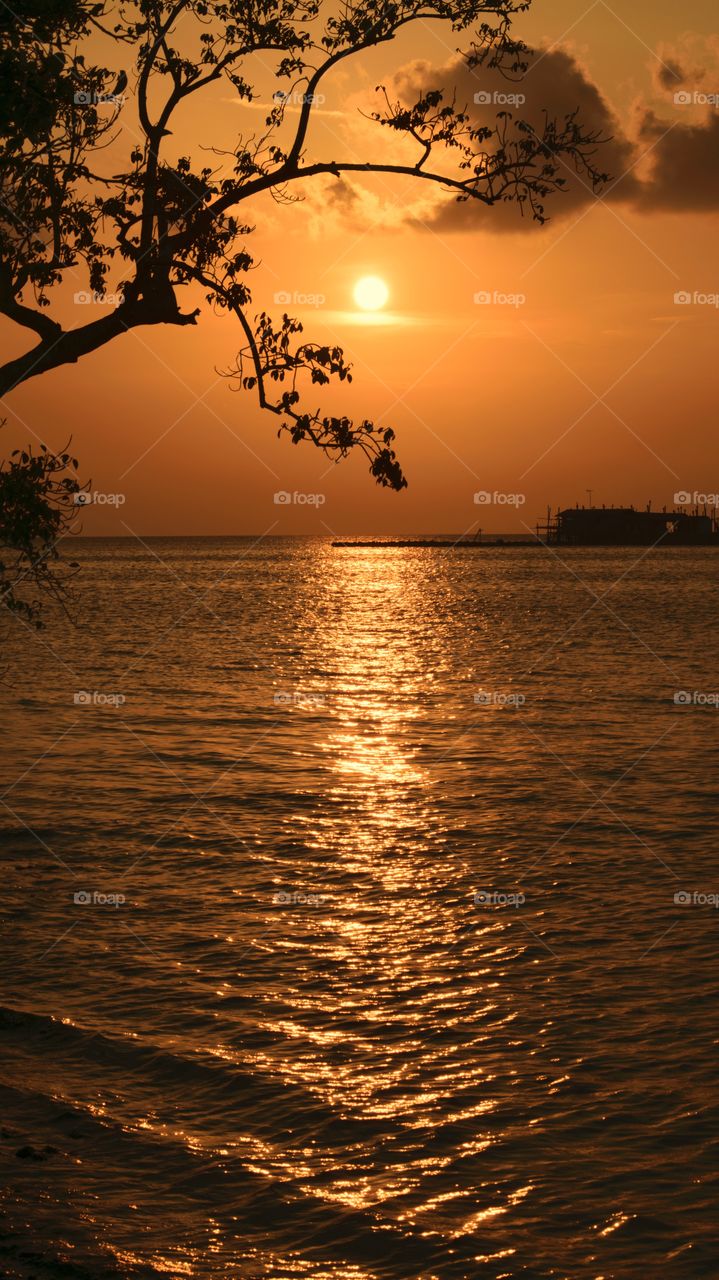 Golden sunset at the sea