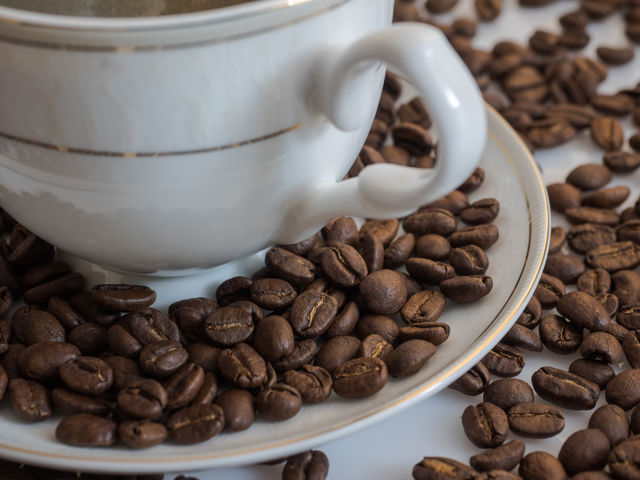 Close-up of a coffee bean
