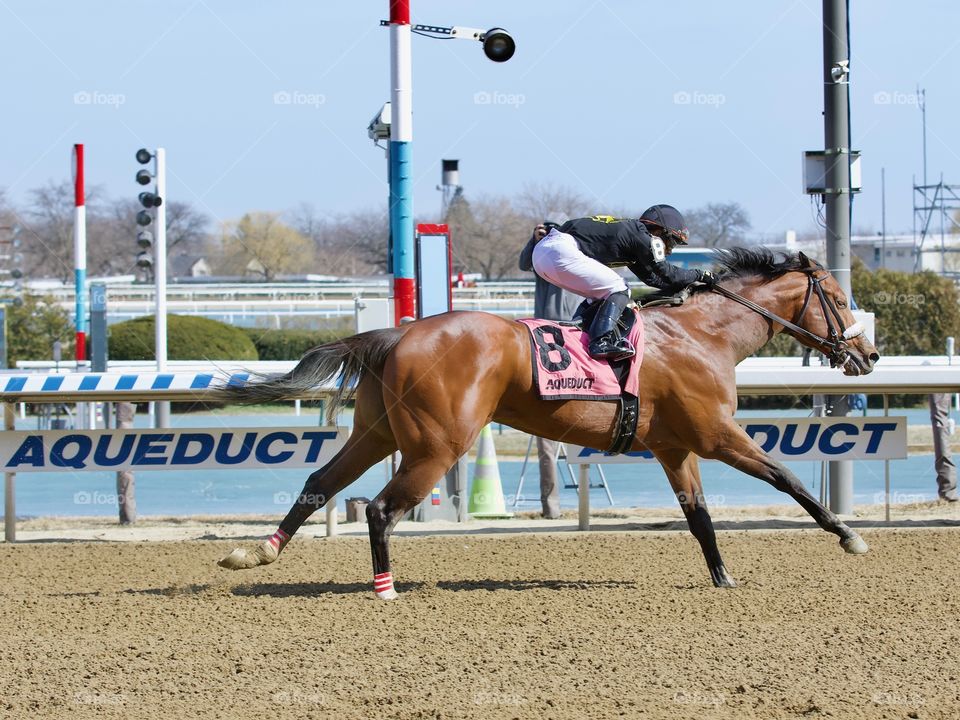 Fleetphoto at Aqueduct