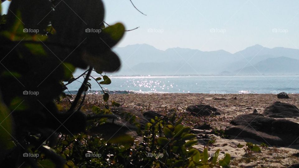 Water, No Person, Beach, Sea, Seashore