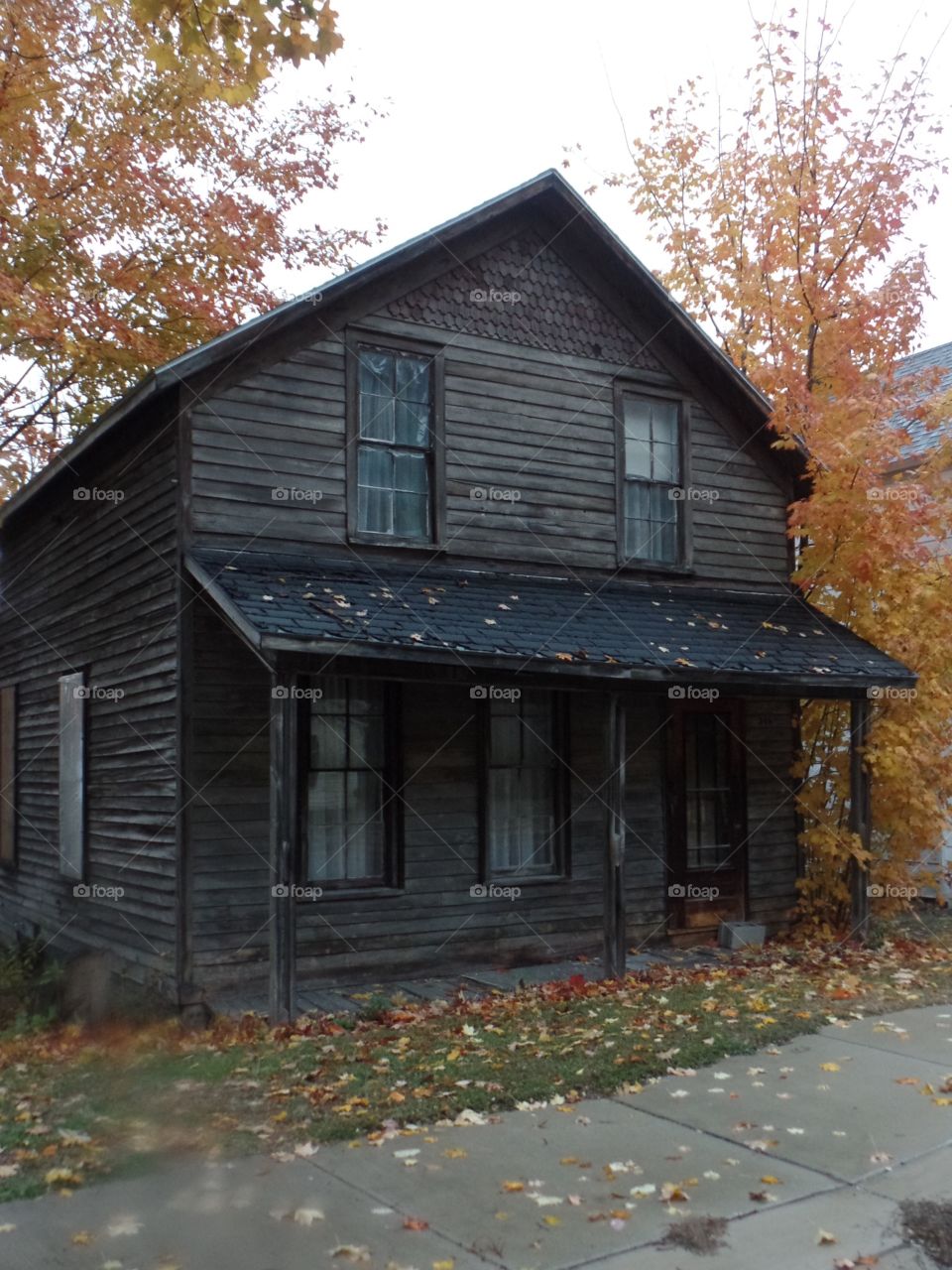 Northern Michigan 