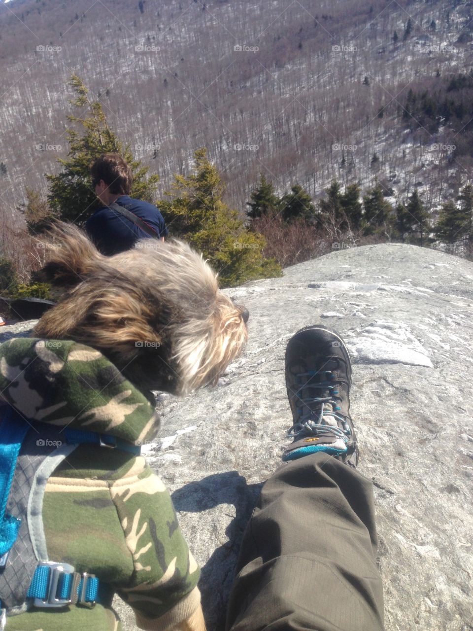 Resting weary boots at the windy peak of Deer Leap Mountain with the pup. 