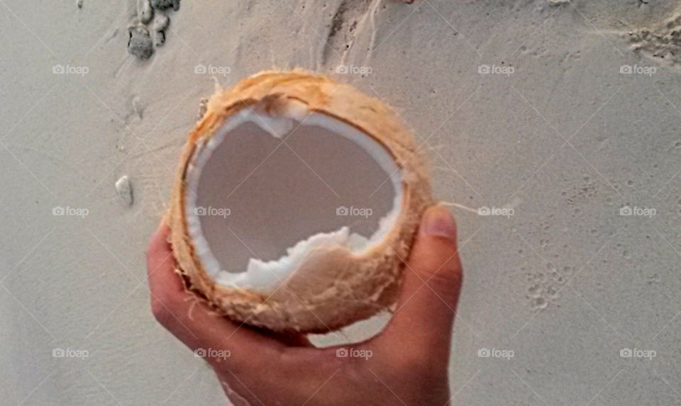 Close-up of hand holding coconut