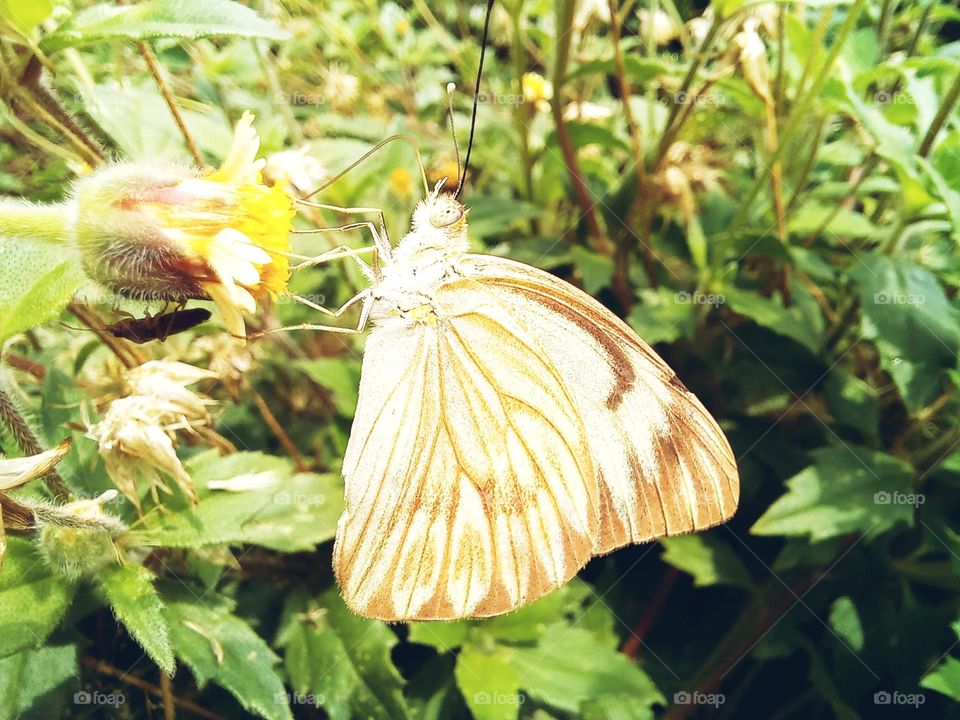 "Make the most of your time with the people you love!!!!