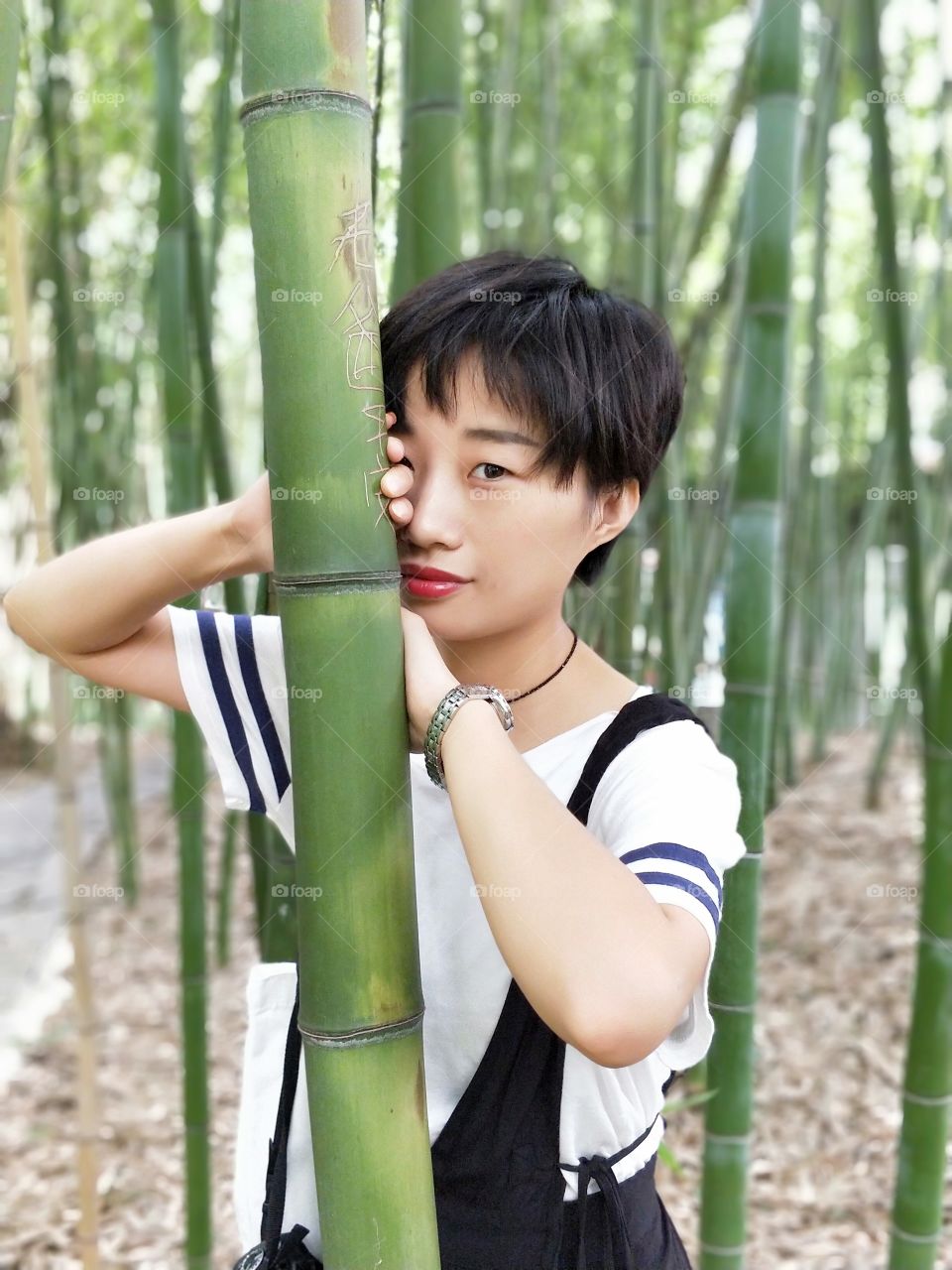 bamboo forest

