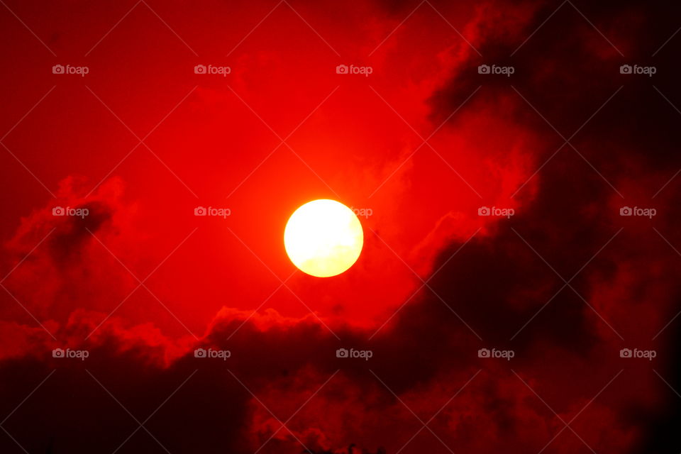 The circle we see everyday, which provides light and heat.