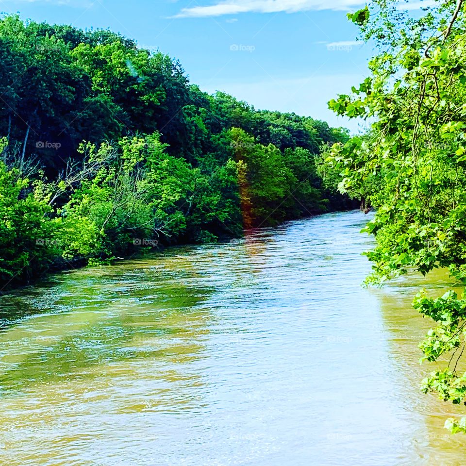 Nature, Water, River, Landscape, Leaf