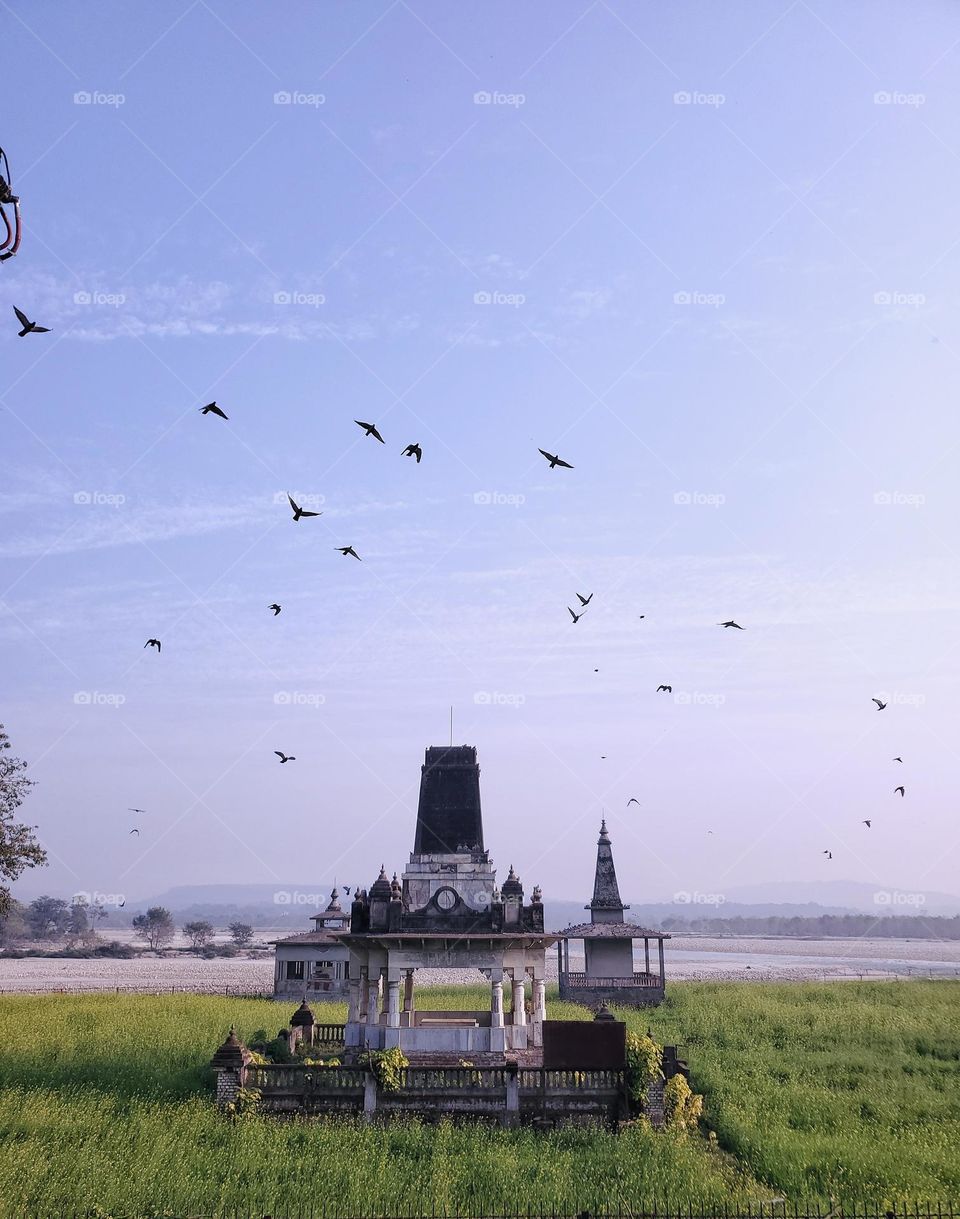 Birds flying freely beyond the rules of this world