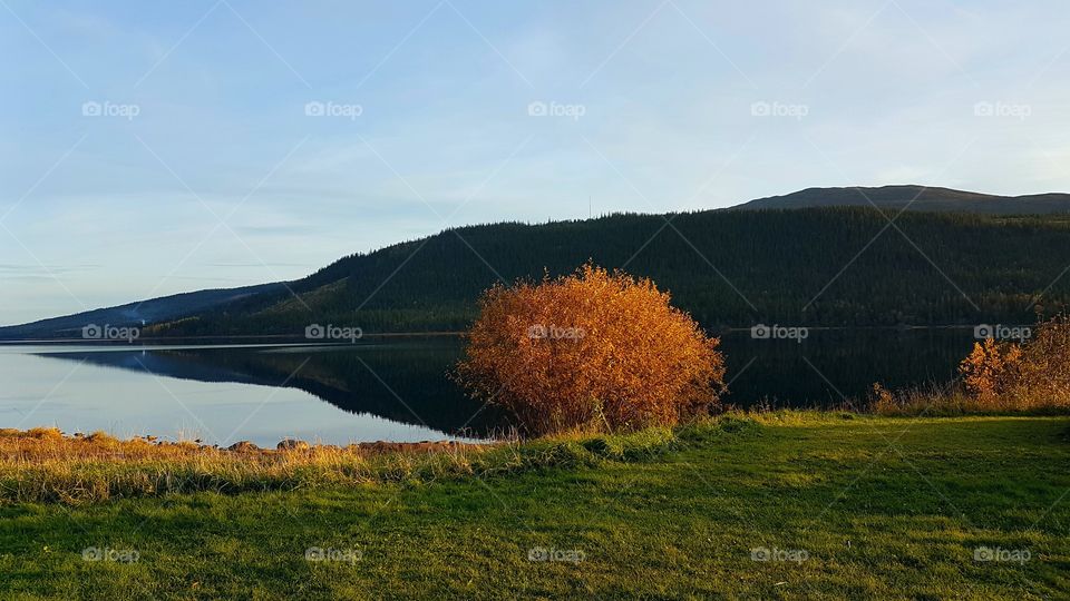 Autumn lake reflection