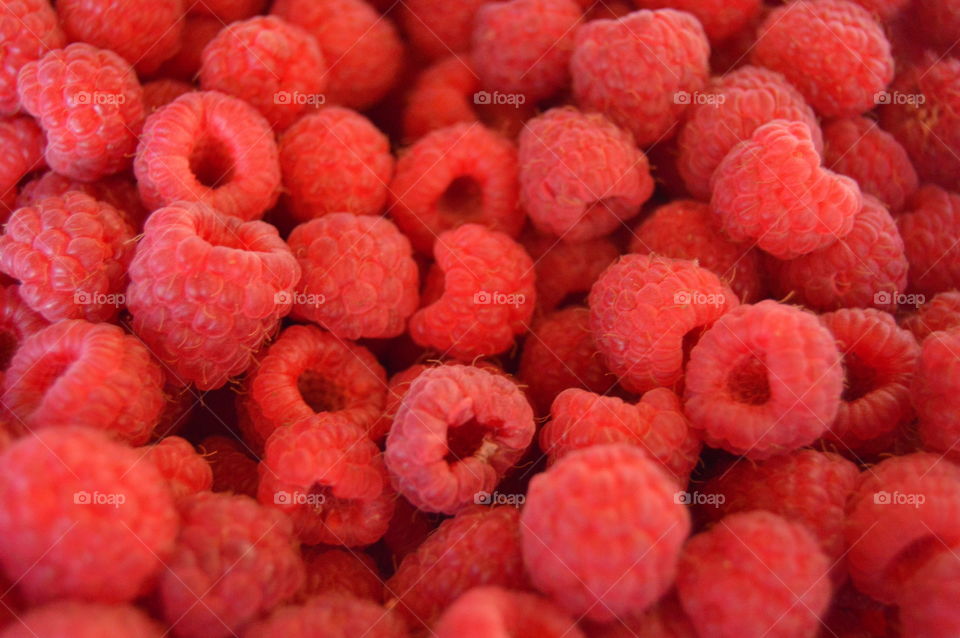 Red rapsberries