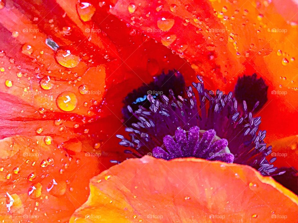 Hiding from the Rain