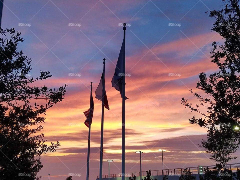 Flags in Sunset