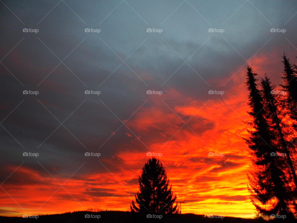 amazing sky in the evening