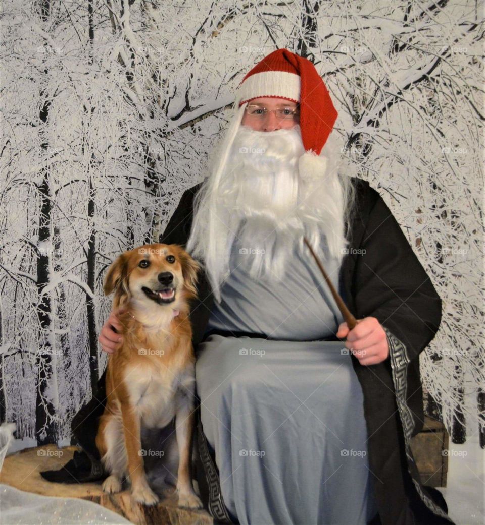 spreading Christmas cheer Harry Potter style