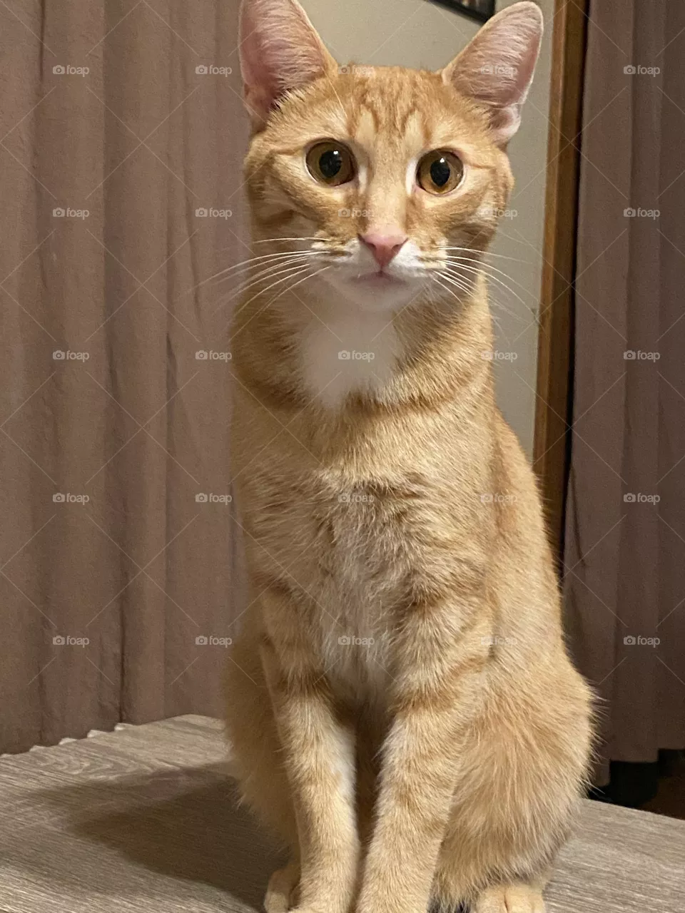 Hey what ya got there