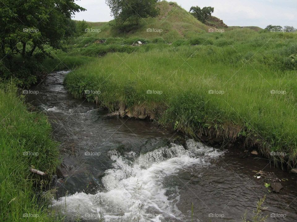 A brook at green hills