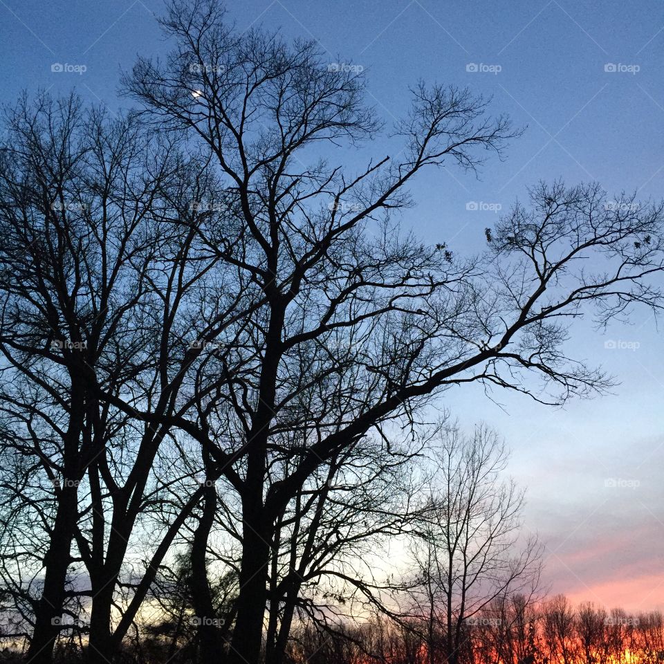 Good bye, Sun. Hello, Moon. 