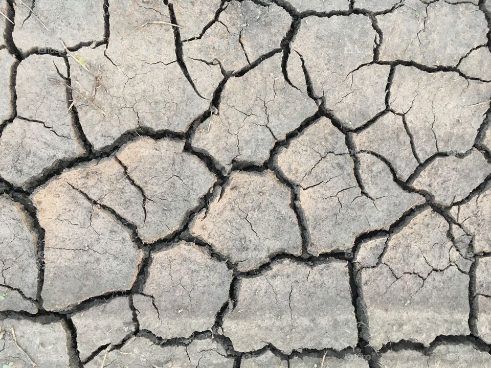 Cracks in dry earth 
