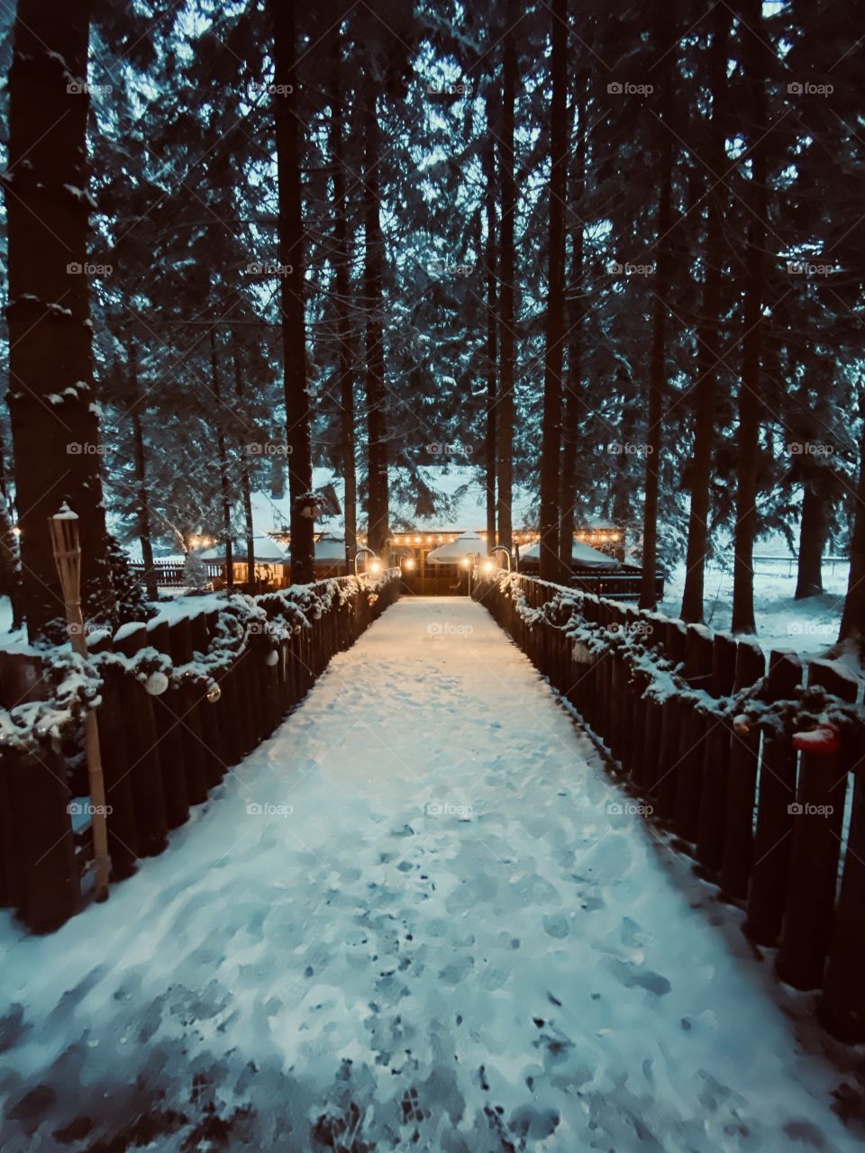 Just another silent evening 