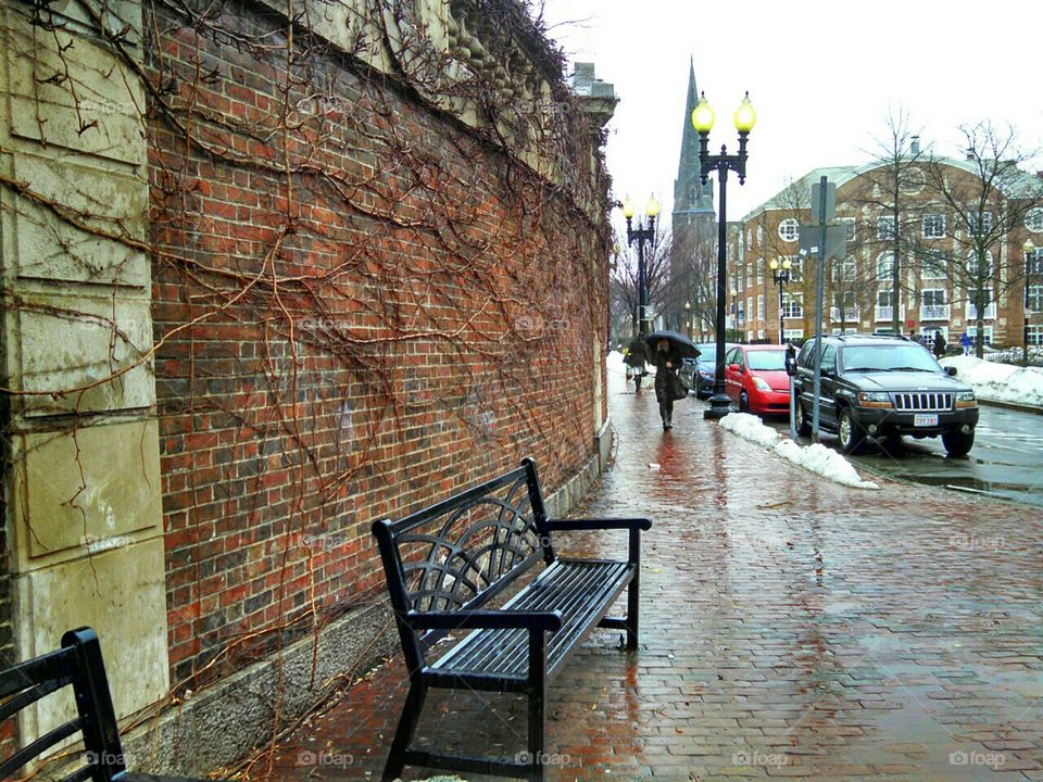 Rainy Day. Harvard Sq., Cambridge, MA