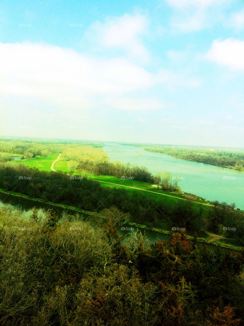sky trees forest trail by mandytd