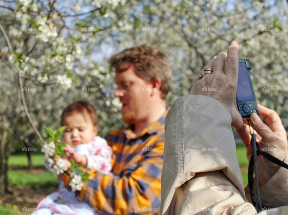 my child, these are cherry flowers