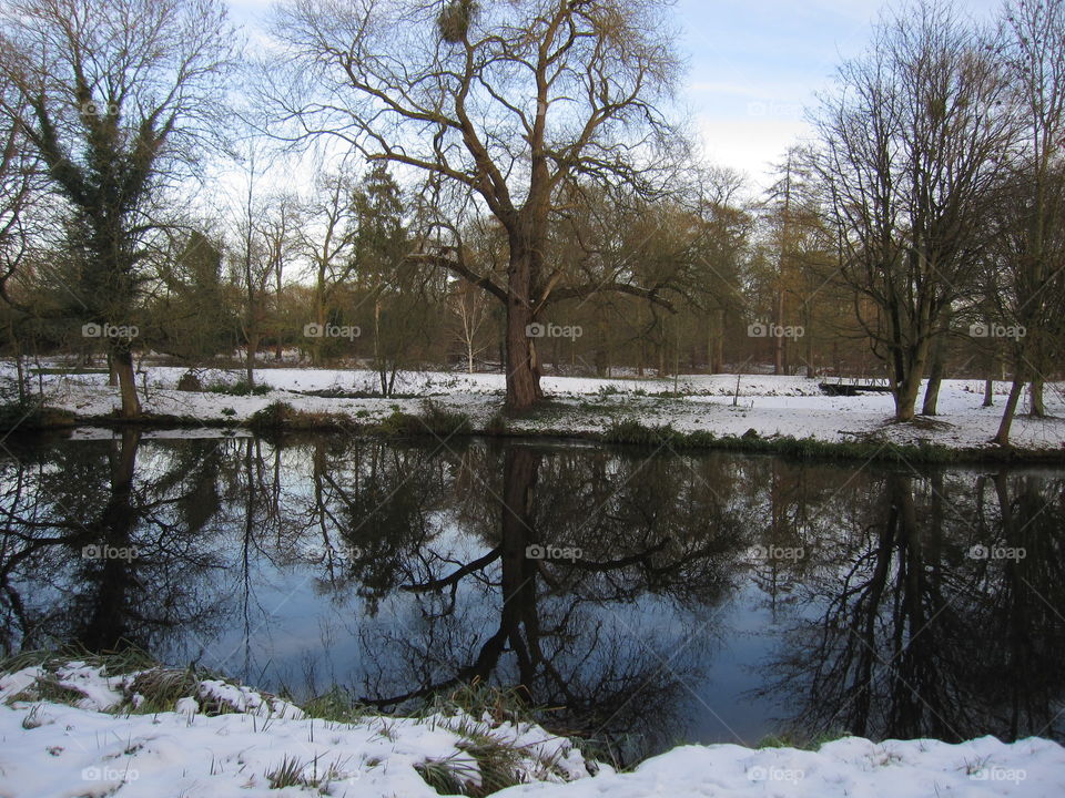 Winter Reflections