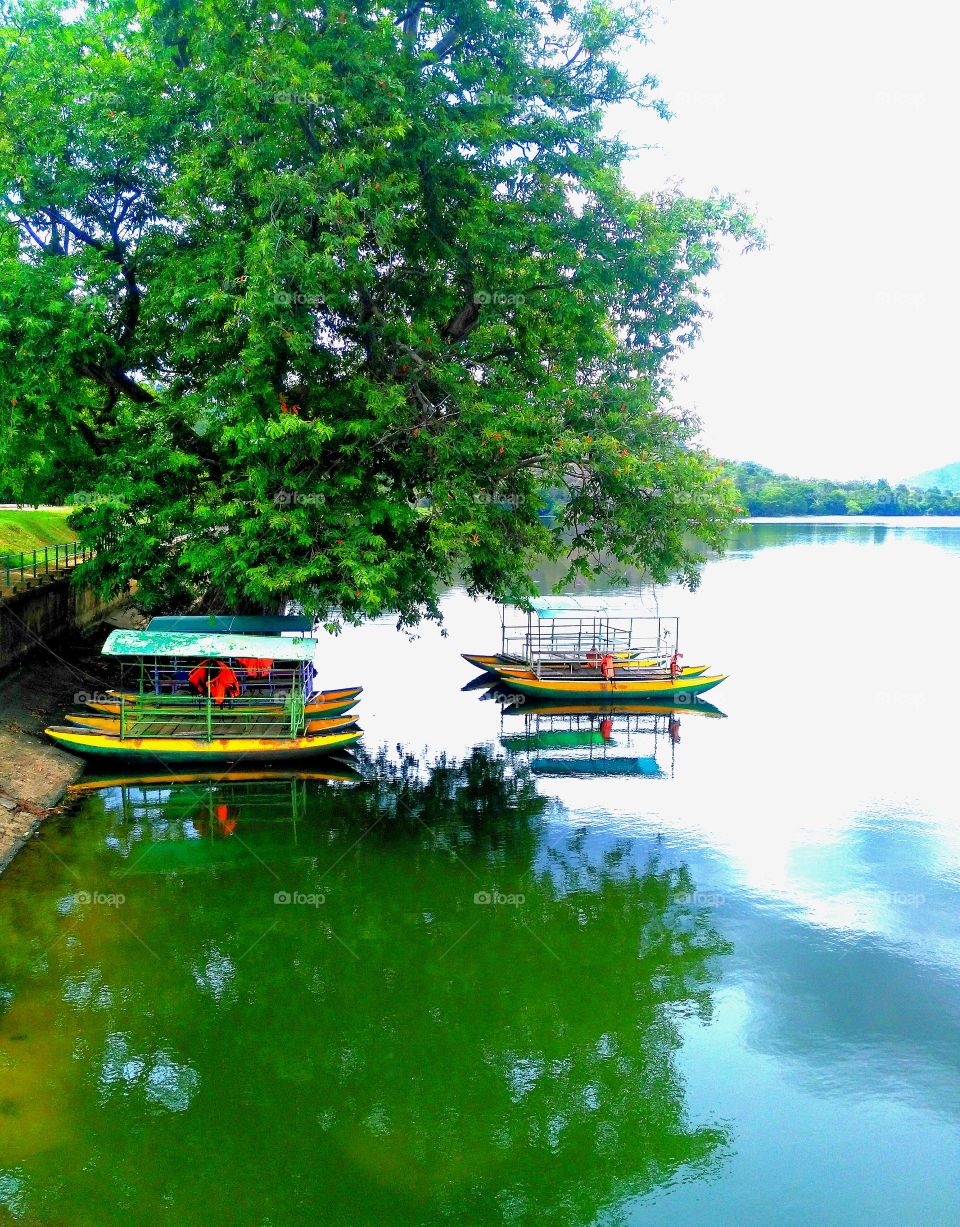 Sri Lanka mahiyanganaya sorabora lake boat yard