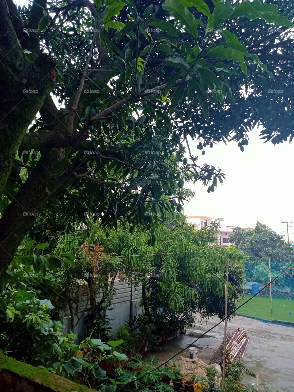 view next to my house