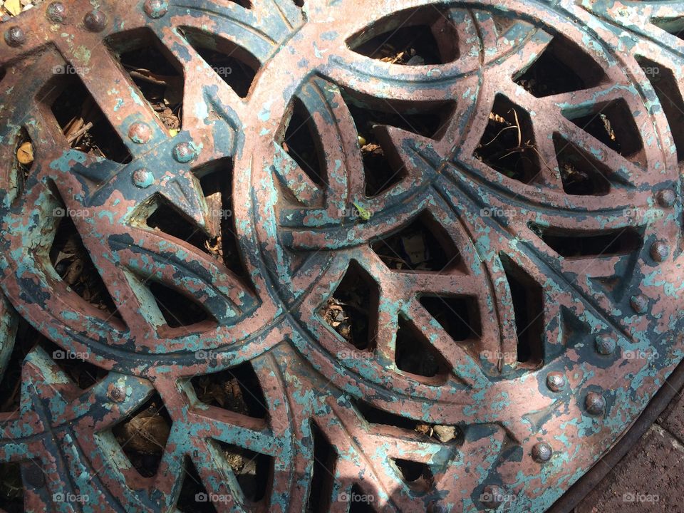 Base of a tree in New Orleans warehouse district 