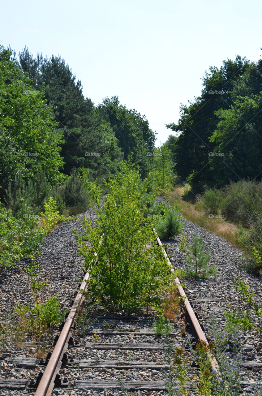 Lost Track To Nowhere.