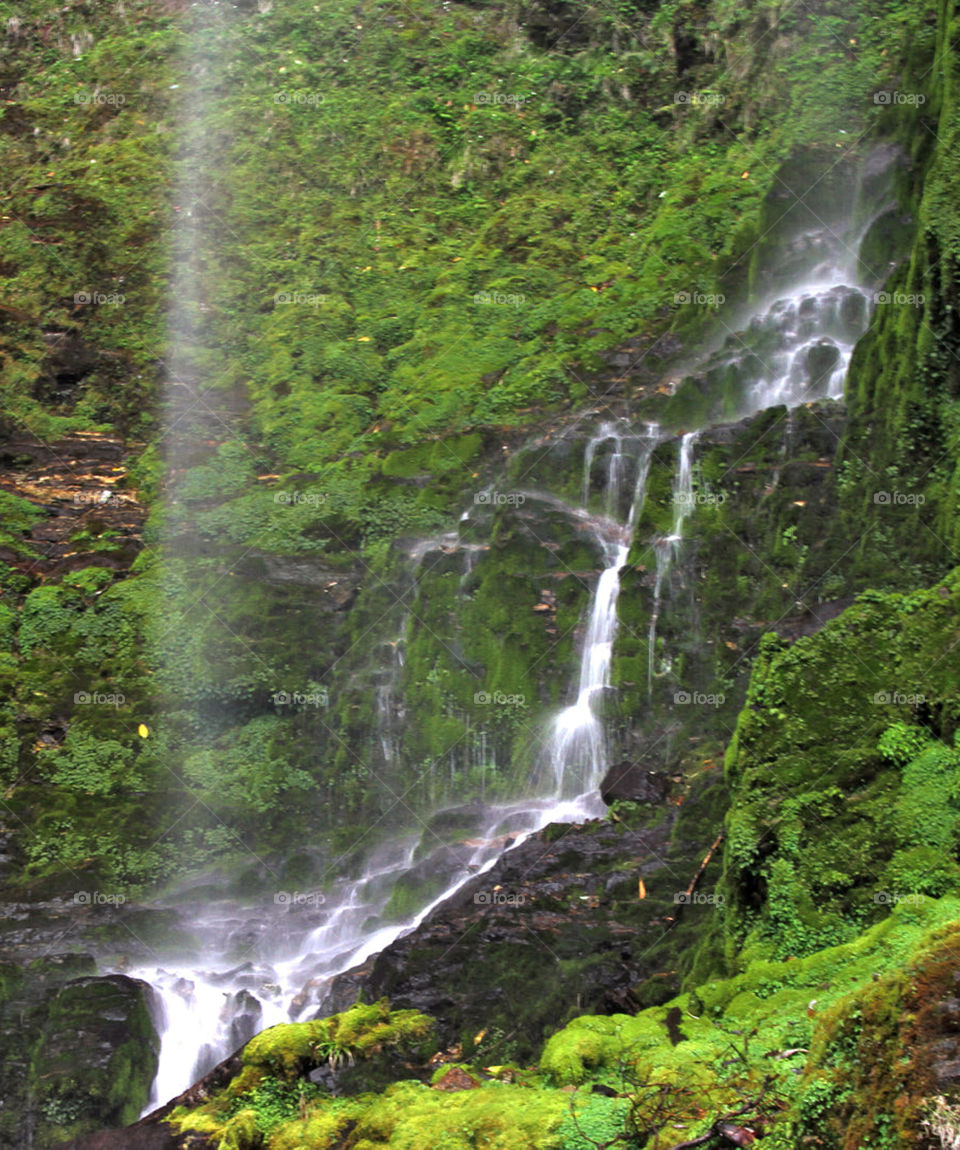 Travel around the world